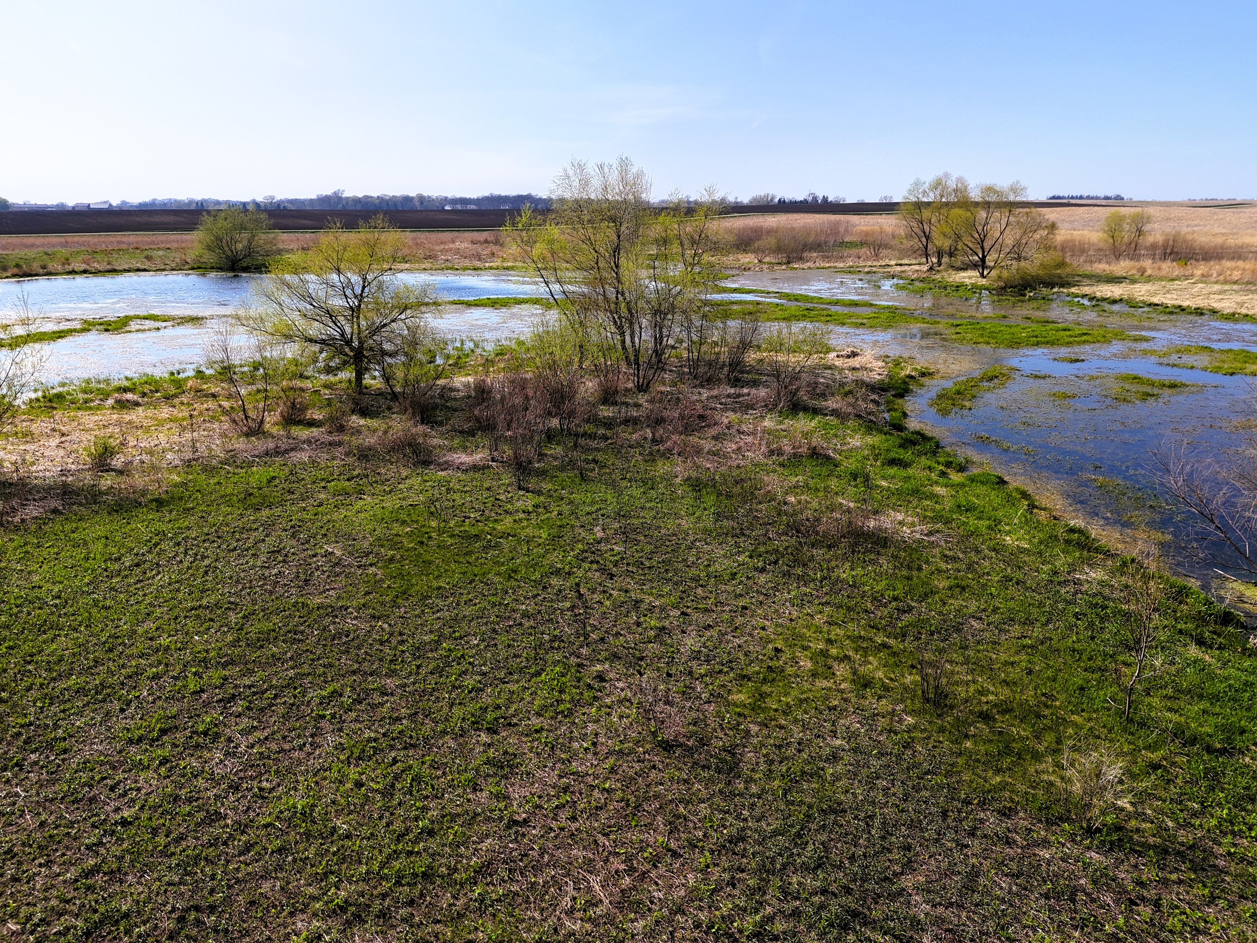 Listing Photo: Ground 6